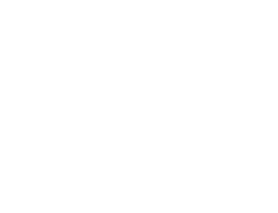 IPSA Paris